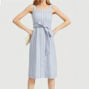 Everlane the cotton weave blue striped Dress